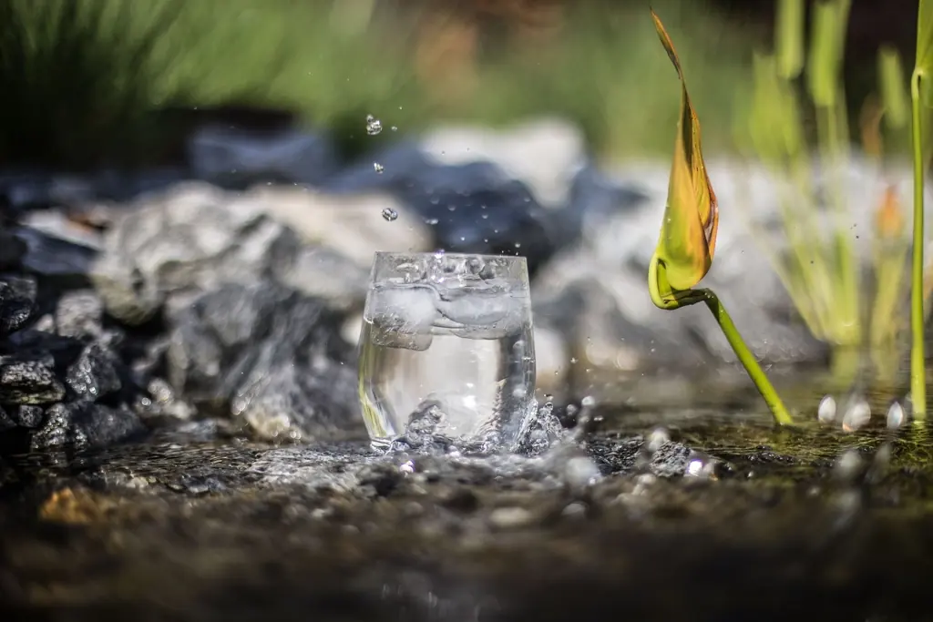 Combien d’eau boire par jour pour maigrir ?